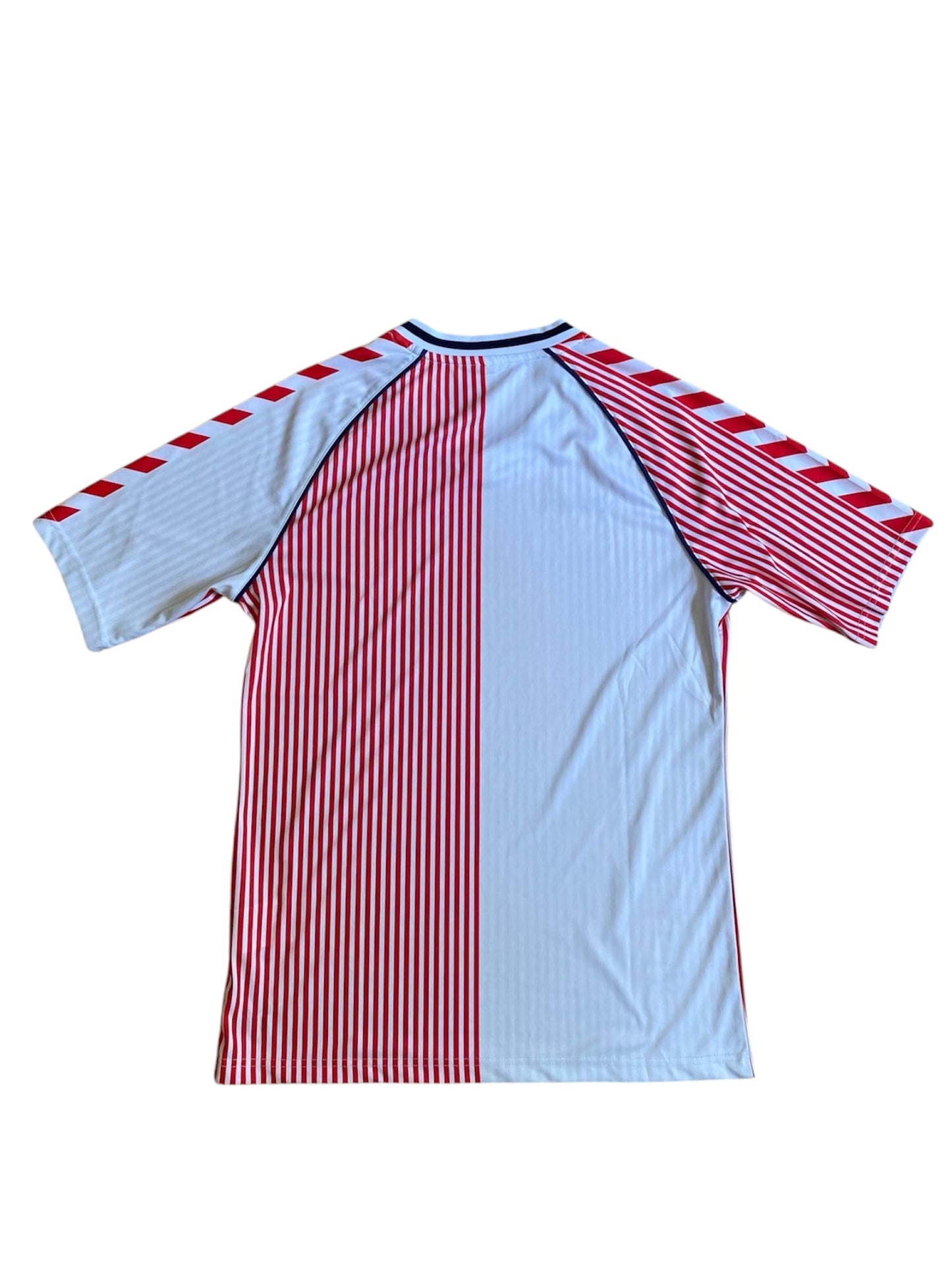 Dänemark Sondertrikot 2023/24 (M)