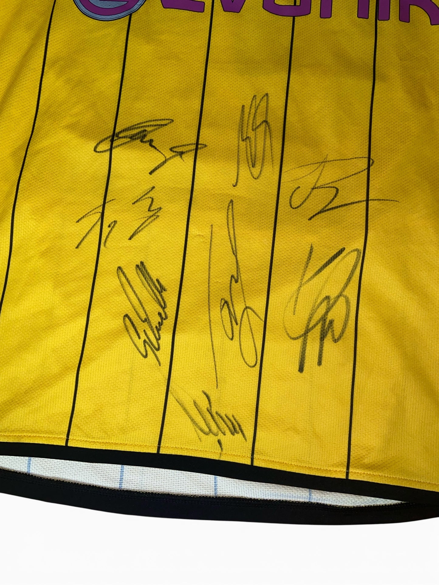 BVB, Borussia Dortmund Heimtrikot 2008/2009 (L)