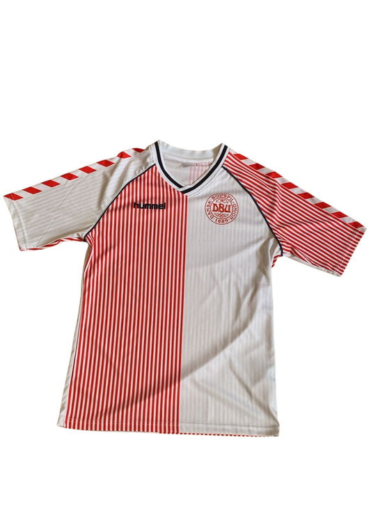Dänemark Sondertrikot 2023/24 (M)