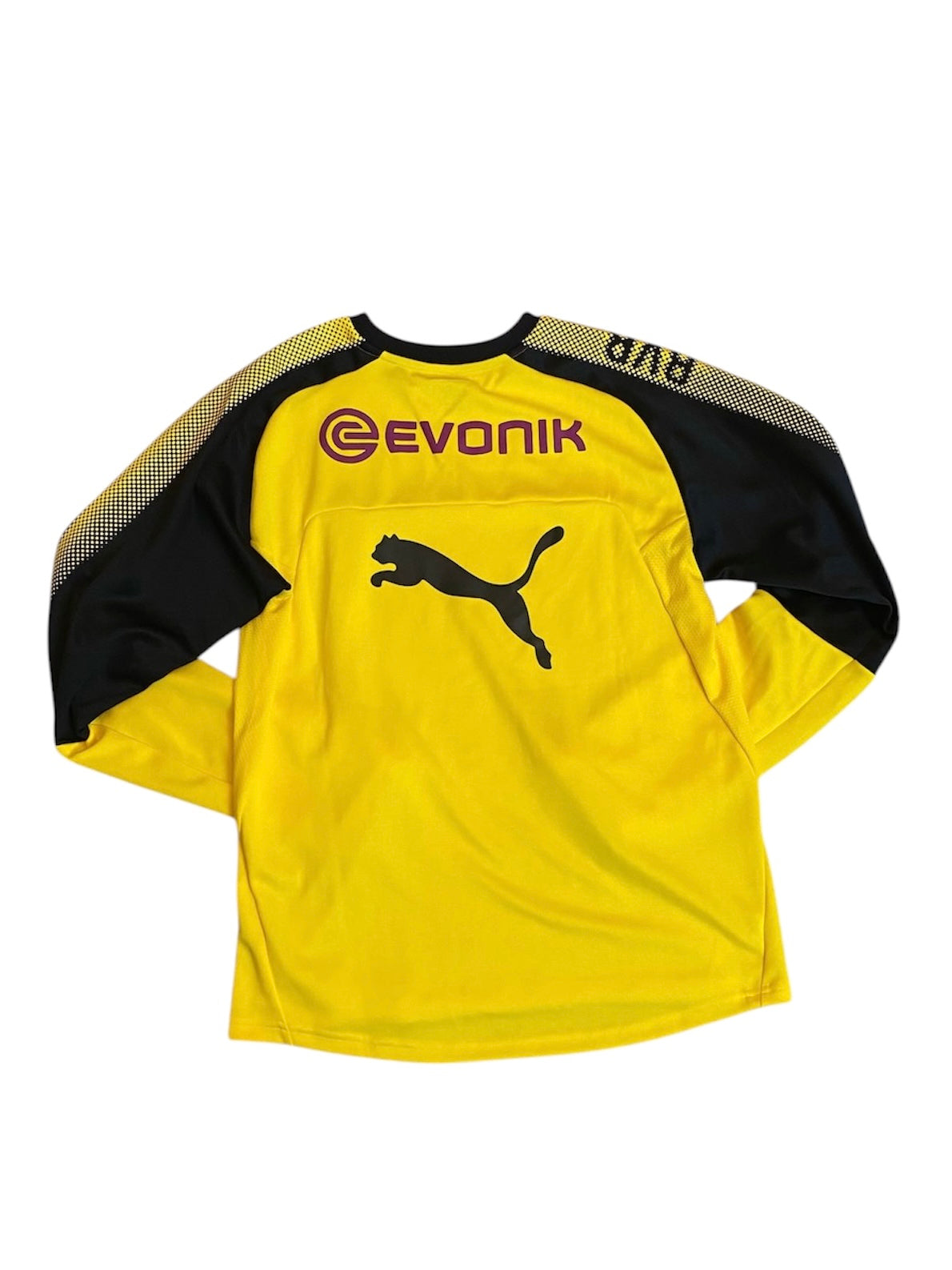 BVB Dortmund Trainings-Sweater (L)