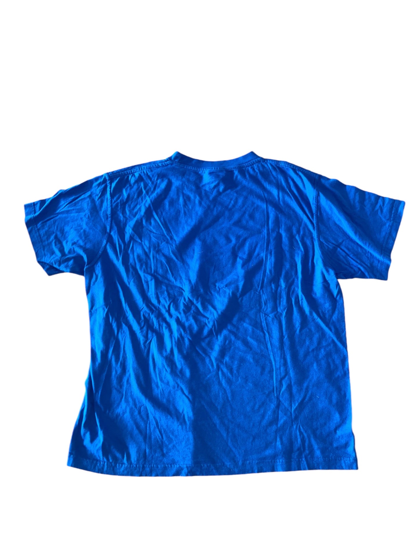 Hertha BSC T-Shirt Aufstieg 2011 (L)